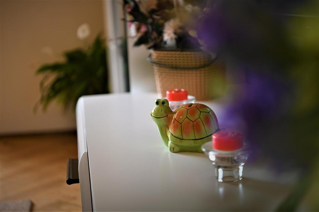 Marin Hotel Apartment Brasov Bagian luar foto